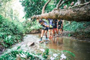 BIB: 
                            <button type="button" onclick="openModal(25515922)" class="btn btn-primary btn-sm float-right btn-popup" data-toggle="modal" data-target=".modal-high-quality">
                        <i class="fas fa-shopping-cart"></i> Add to Cart
                    </button>
                                            <button type="button" onclick="isThisMe(25515922, true)" class="btn btn-success btn-sm float-right btn-popup btn-isme hidden" data-toggle="tooltip" data-placement="bottom" title="นี่คือรูปของคุณใช่ไหม คลิกที่นี่เพื่อเอาเข้าอัลบั้ม">
                        <i class="fas fa-plus"></i> Add to album
                    </button>
                    <button type="button" onclick="isThisMe(25515922, false)" class="btn btn-warning btn-sm float-right btn-popup btn-isnotme hidden">
                        <i class="fas fa-ban"></i> Remove from album
                    </button>